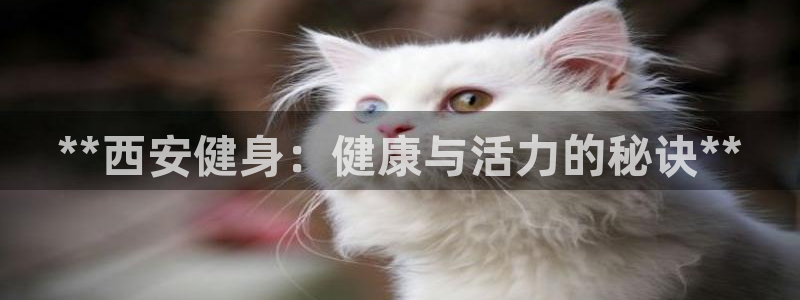 龙8国际客服