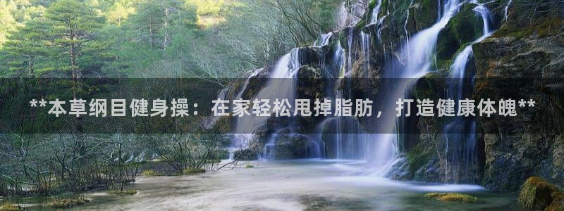 龙八国际pt