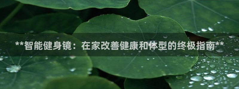 龙8娱乐国际城