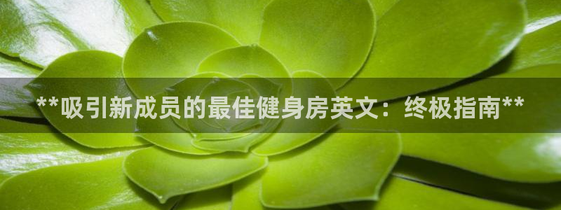 龙8国际怎么下载