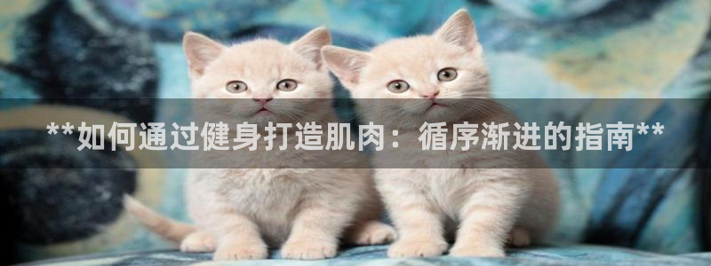 龙8国际怎么下载