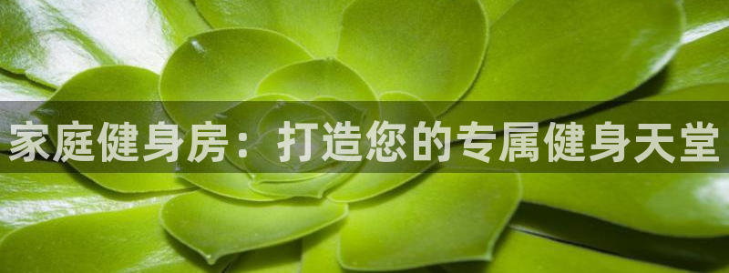 龙8电子游戏_首页