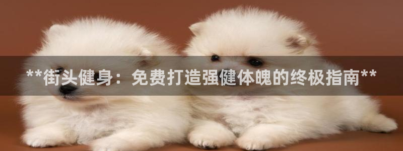 龙八国际网页登录