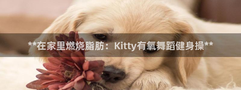 龙8国际pt官网