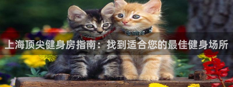 龙8国际游戏最新资讯