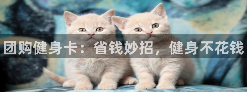龙8国际app下载客户端