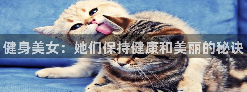 龙8国际官网app下载旧
