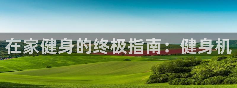 龙8国际的官网