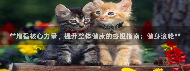 龙八国际娱乐网页多少