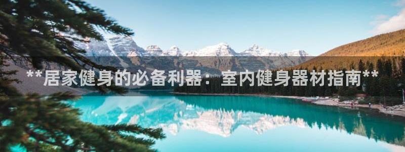 龙8国际手机登