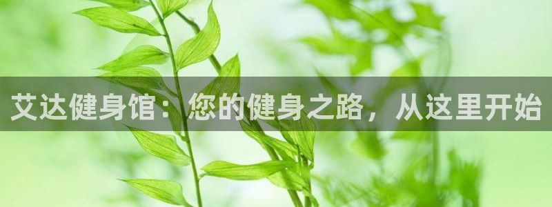 龙8国际官网下载