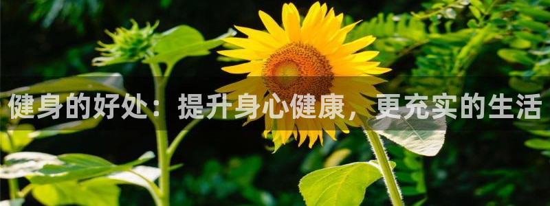 龙8游戏官方网站p