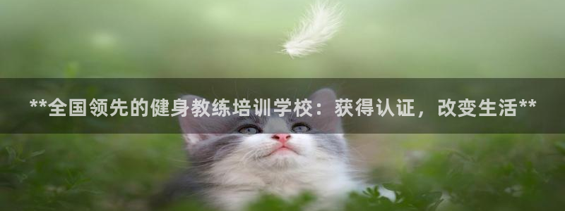 龙八国际娱乐在线游戏