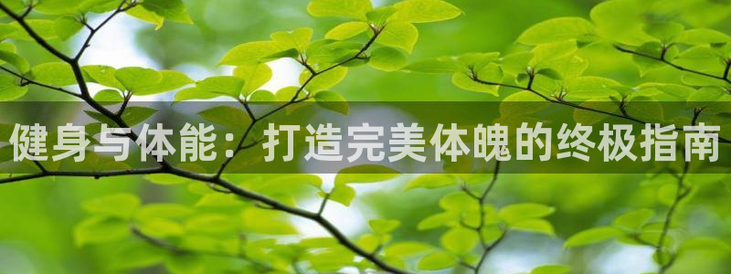 龙8国际官网