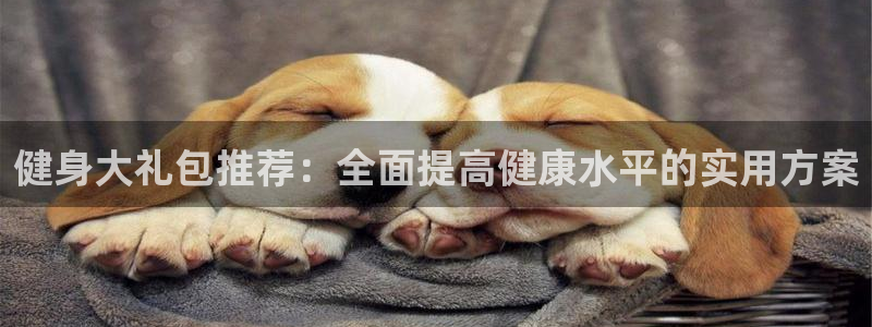 龙8国际龙8官方