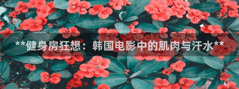龙8游戏官网
