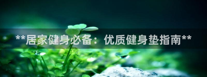 龙8国际网页版下载