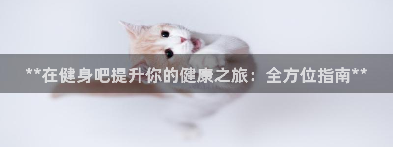 龙8国际官方网手机版下载安装