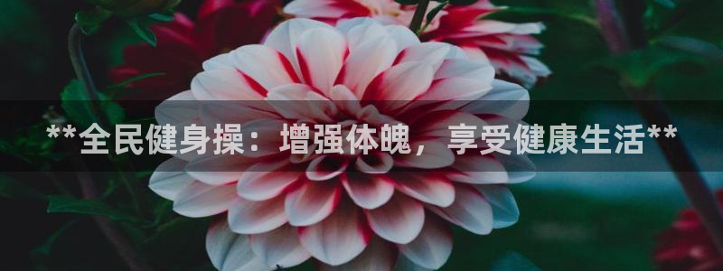 龙8国际网址是什么