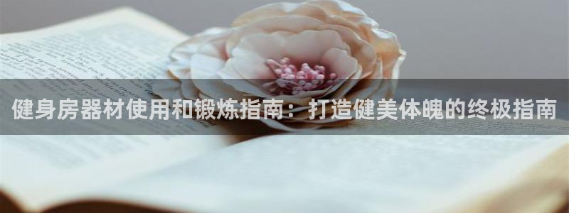 龙8国际登录网址推荐ag87253