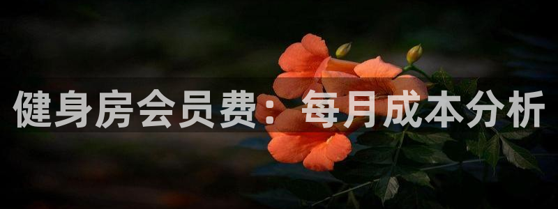 龙8国际试玩