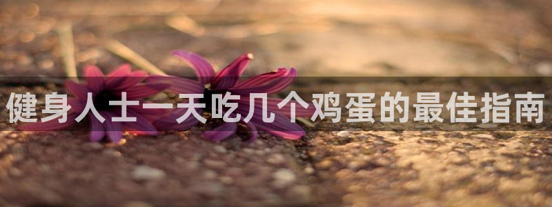 龙8游戏入口