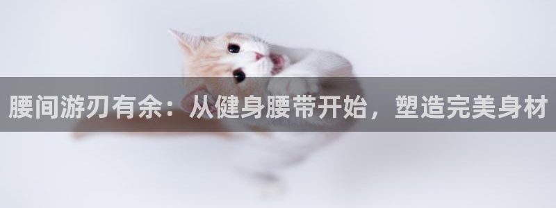 龙8国际官网app下载