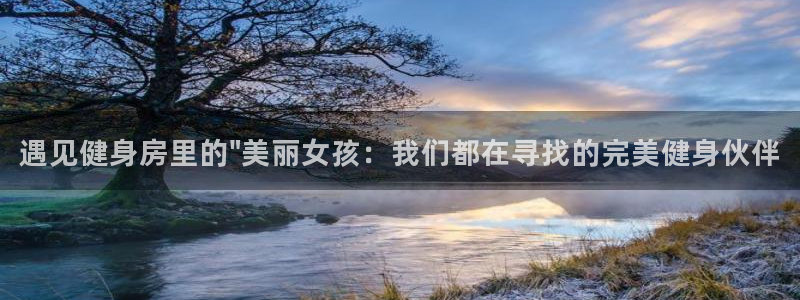 龙8老虎机网络游戏