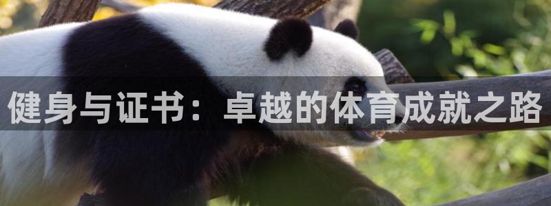 下载龙八国际