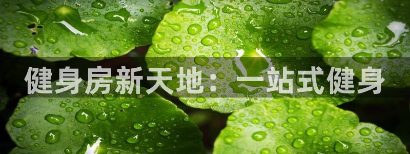 龙8国际游戏最新资讯