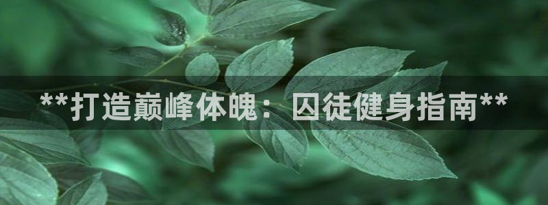 龙8国际登入