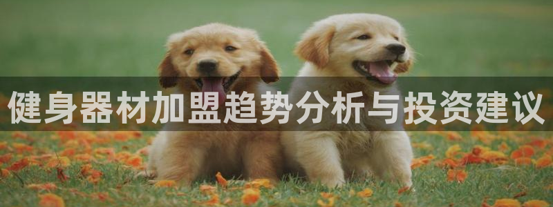 龙8国际龙8官方网站