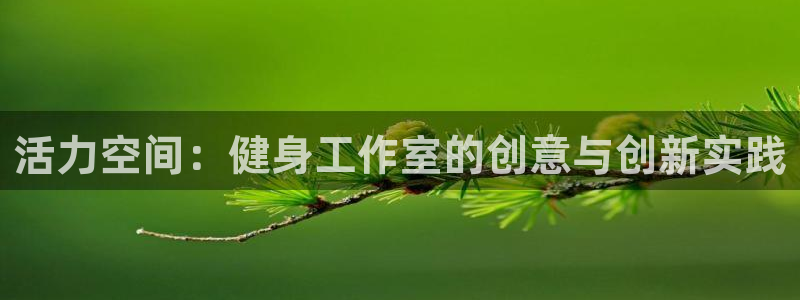 龙 八国际