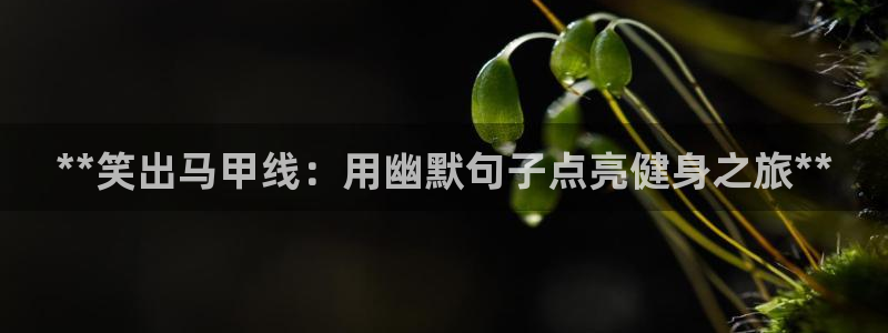 龙8国际app官网下载