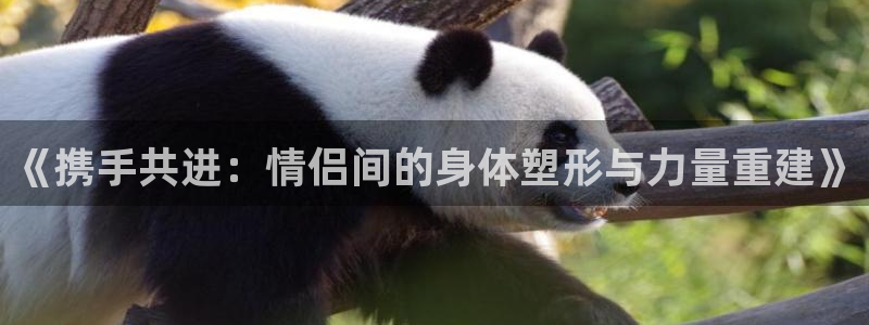 龙8国际官网 点此进入