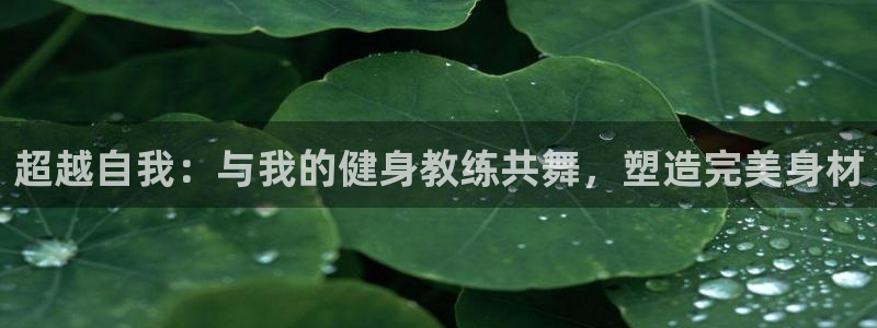 龙8国际龙8客户端