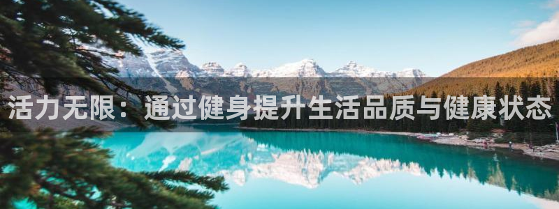 龙8官网正版