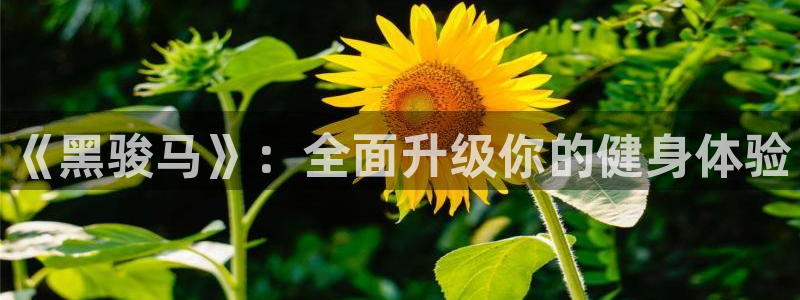 龙八国际app客户下载