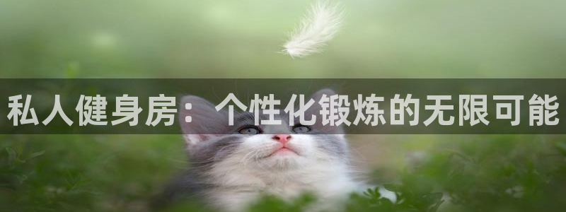 龙8国际官网版