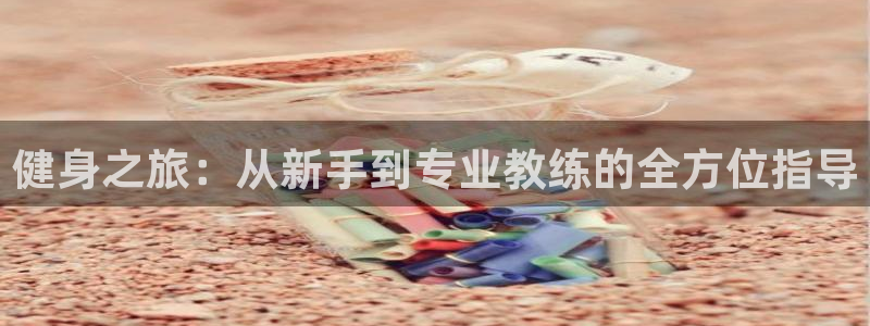 龙8国际的漏洞