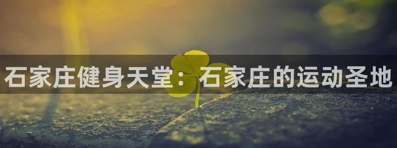 龙8国际手机版app