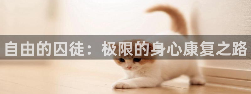 龙8国际游戏公司官网