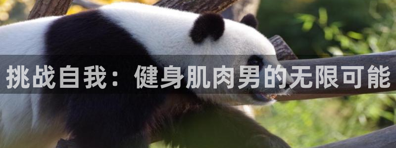 龙8国际手机网页版