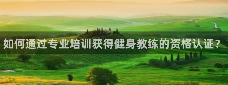 龙8国际登入