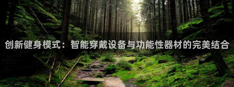 龙8app 国际