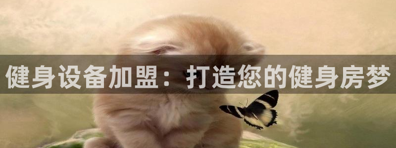 龙8app 国际