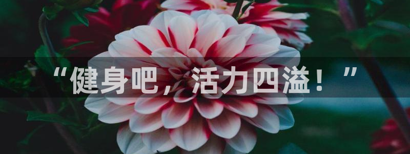 龙8国际游戏官方进入的介绍