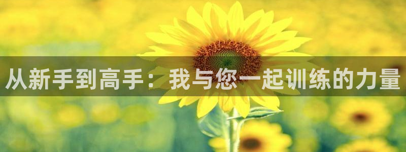 龙8游戏官方网站s