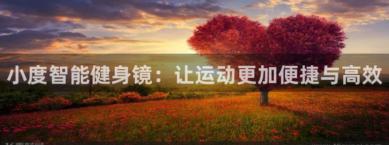 龙8国际游戏官方网站