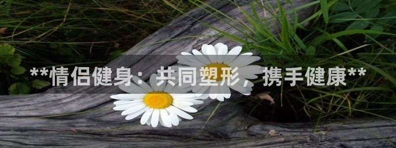 龙8棋牌官网